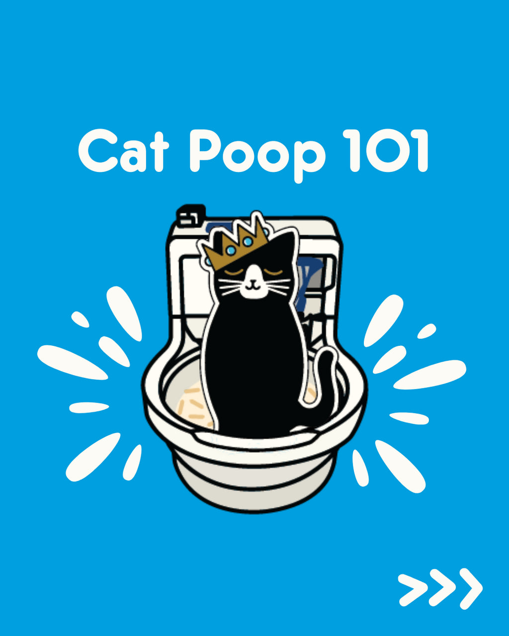 Cat Poop 101: What Your Cat’s Poop Says About Their Health